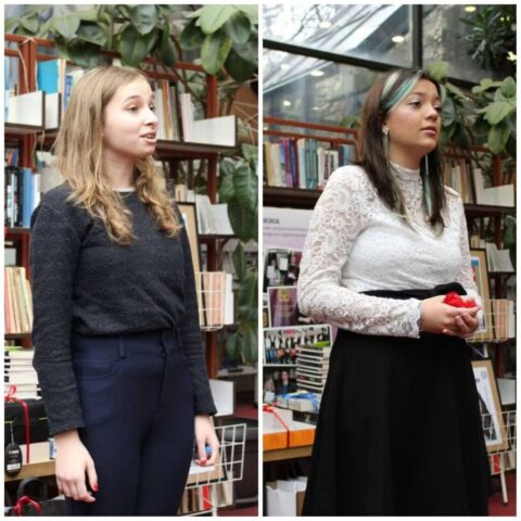 стиховизија стиховизија