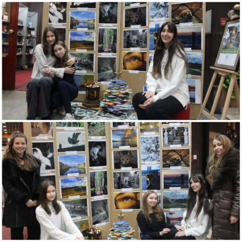 стиховизија6 стиховизија6